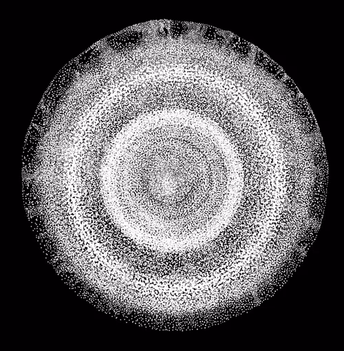 Item #48216677678887992956199146050101977369740452437452834237877791443197422993409 Media