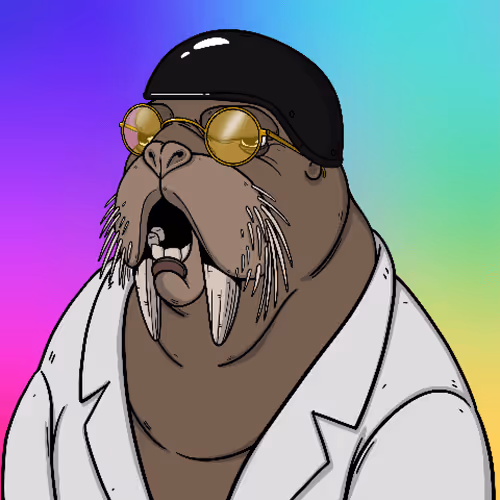 Item #31488829239088319770893970379597079445996421138457549897503302919731757973505 Media