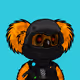 Honorary Drop Bears