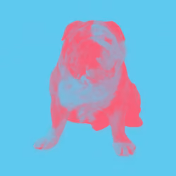 PigDogLucky#1050
