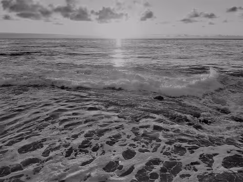 Item #36797478990227503802515544271343238965940869473164843468653790205241485950977 Media