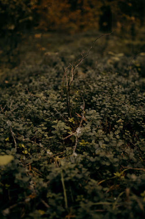 Item #89749655781633695214918973850275472722969414754438239918620403796330500063233 Media