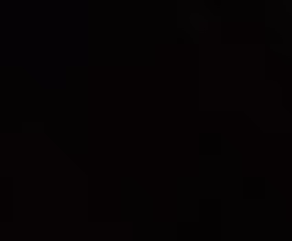 Untitled Collection #306901362