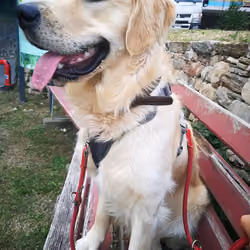 He sit