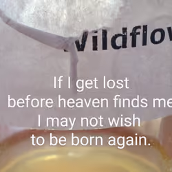 Wildflower