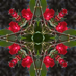 57
