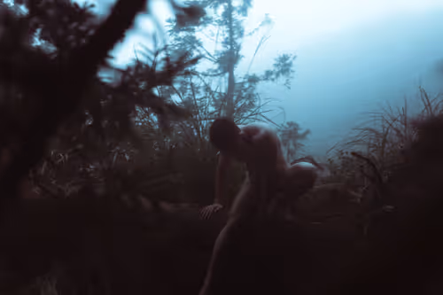 Item #52978072630702396718123333469587862928086080569557562316609005672412760506369 Media