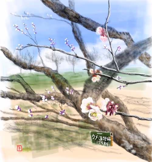 Item #97333785944323683725766169075053539191721722500418762111142792027156256915457 Media