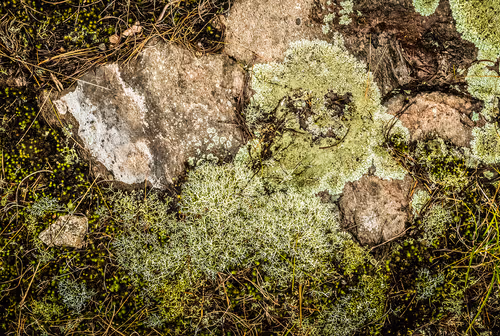 Item #78614967916850878758896281278088562819031429561597845143063368068478432968705 Media