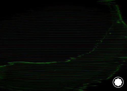 Item #83829751958947647846419200846164710754981145876737143323777831787621139873793 Media