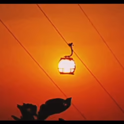 Sunset #1