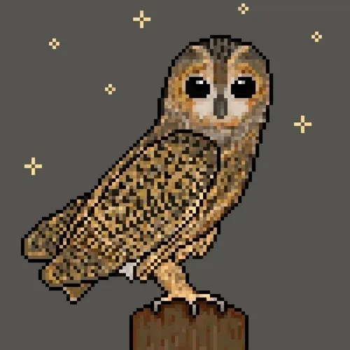 Owls-