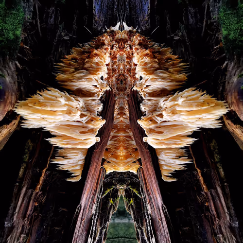 SOMEWHERE IN SPACETIME #01/33