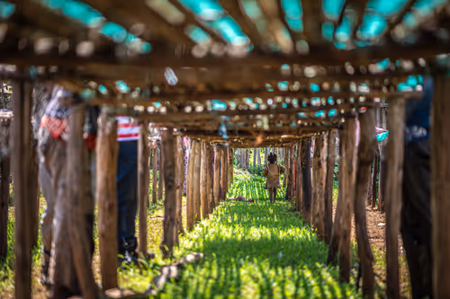 Item #50027882237522295676960542276708360859068113986169674979910834066933910863873 Media