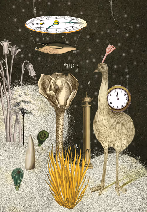 Item #39837860205319031893123637587070044917626634745530009203284418672310542663681 Media