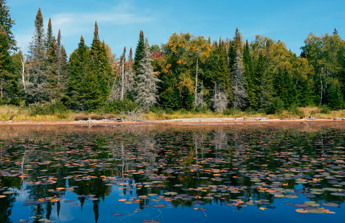 Item #78614967916850878758896281278088562819031429561597845143063368131150595751937 Media