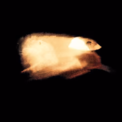 Ross Bleckner Crypto Flare #77