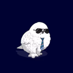 5197826853246656564729033218299944486329924770619108528326713661508108156929