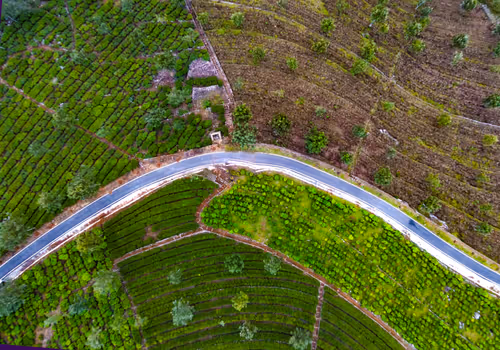 Item #67686649945813211142348116383551297901422610875826896463266851533142324412417 Media