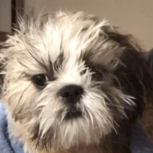 Untitled Collection #178118255