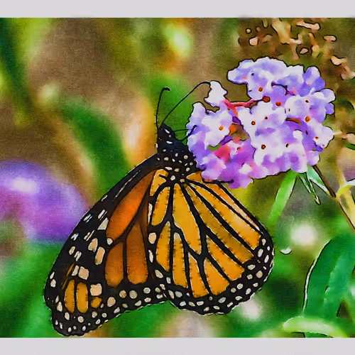 55704534837685659622621715309832868758345944585427688586690141371783389904897