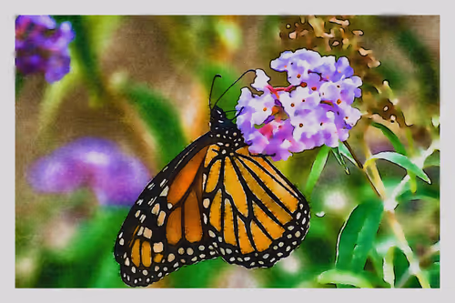 Item #55704534837685659622621715309832868758345944585427688586690141371783389904897 Media