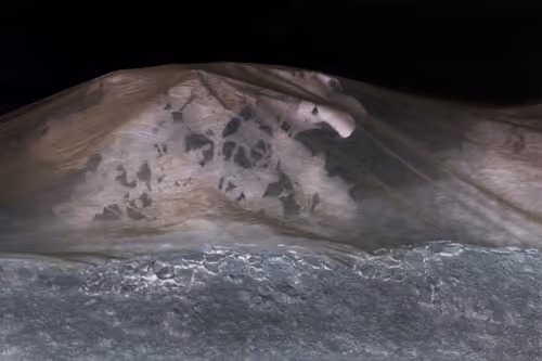 Item #40278163781146387807919824223492945877750948775305722317404597030583072194561 Media