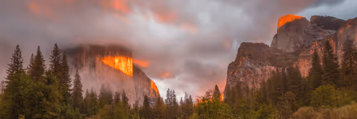 Artistic Banners - A Collection