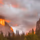 Artistic Banners - A Collection