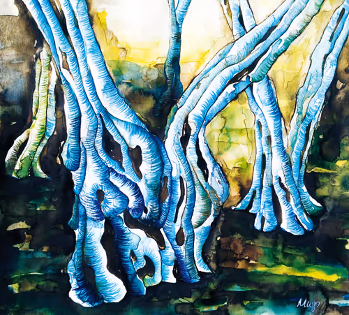 Item #73344577178846438114199699279877756149678730933278830792301650582027701846017 Media