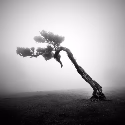 Item #46448320690235251329430811416754344806900568811050689934660167646857910026241 Media