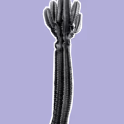 25379124807980713745219244606437574046087384809022650852355167133511144439809