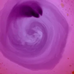 32000915767808189909713509440499411710325983035558635769524052869977257017345