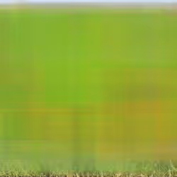 105089968166921690156624725616502706642431777719922472152070405790932012105729