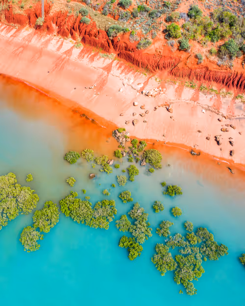 Item #98364308577151193896223353629965486931327977974902168475633960459409138122753 Media