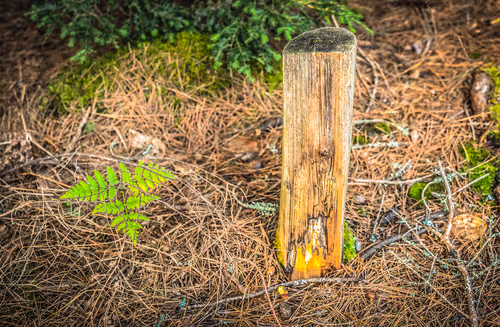 Item #78614967916850878758896281278088562819031429561597845143063368087170130640897 Media