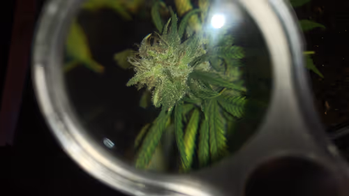 Item #23693537714086204611676086495365821193573285905873750123348194076203604246529 Media