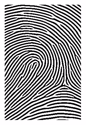 #0007