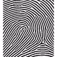 3799515490220879732882333409938015140683167415382329987461811050768194600961