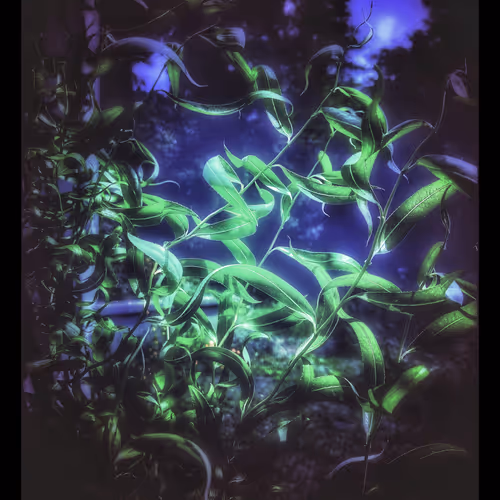 3787080761074609709675817509753112159059746763483256848434353547900803350533