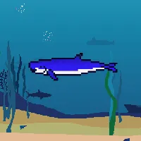 78964944229926021655968168462037545876501657311134209832205588912308297400321