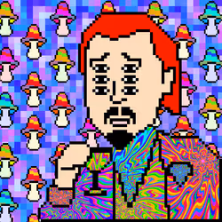 21927668320901052669293191517370475250709072829425717665631973132476109291521