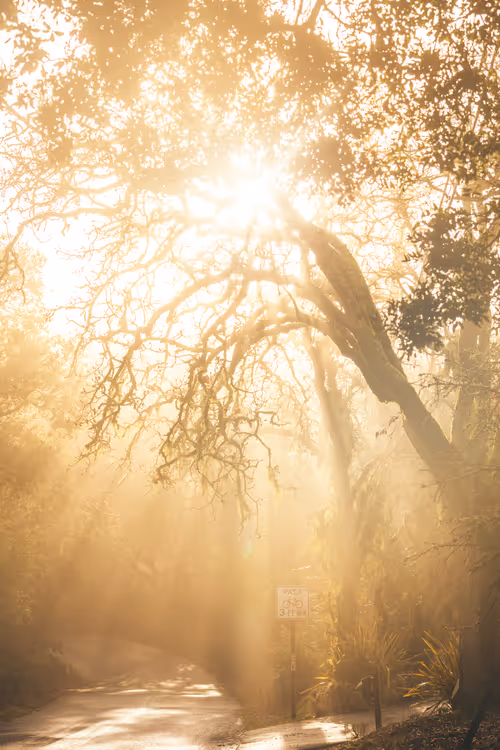 Item #99379921276153973634104125152908526548510783699959858376338453588698244055041 Media