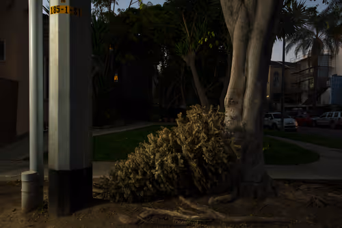 Item #97596376492587480991564299989885194485729582935183473269224319431142608470017 Media