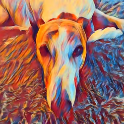 113233535435930126246803406212525192330824104616936385021501681245192991014913