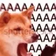 DoomerDreams