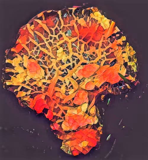 Item #80050559332347163335601971796963442430023304175303914027877321184646224937060 Media