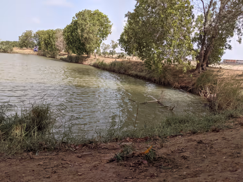 Item #68930698527264809190468656590261820993623292496804910864436067673328461021185 Media