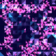 89902183252966194434614360365720208309787731140005720898848920950871771054081