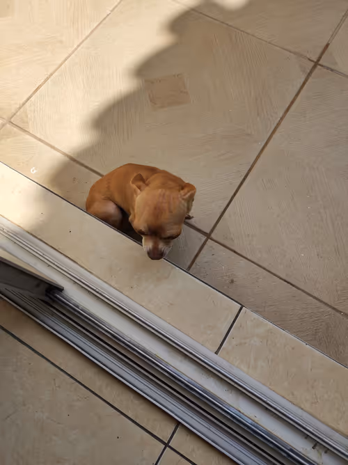 Item #67037274440608150470100459990670935726162063003688534097553106983855643951105 Media